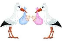 ВЫПЛАТА НА ПЕРВОГО И ВТОРОГО РЕБЕНКА 